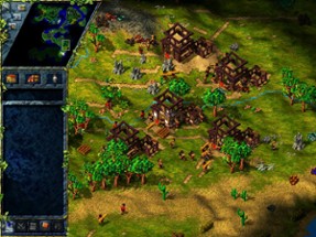 The Settlers III Image