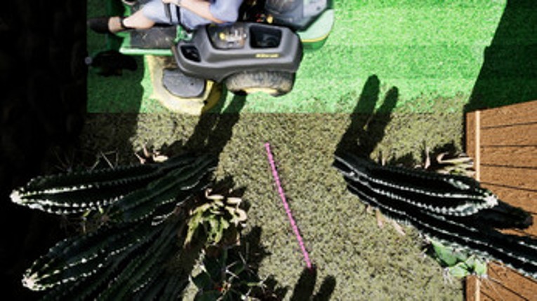 Ants: Colonial Mismanagement Image