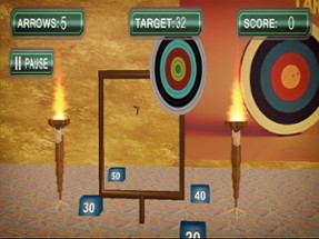 Archery Targets Super Hit Image