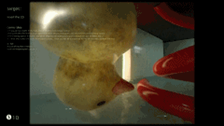 Bopp File screenshot