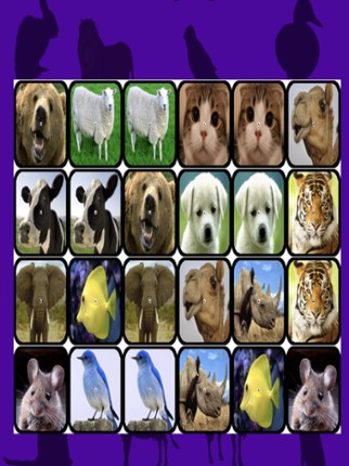 Ninu's Animal Match Card Game screenshot