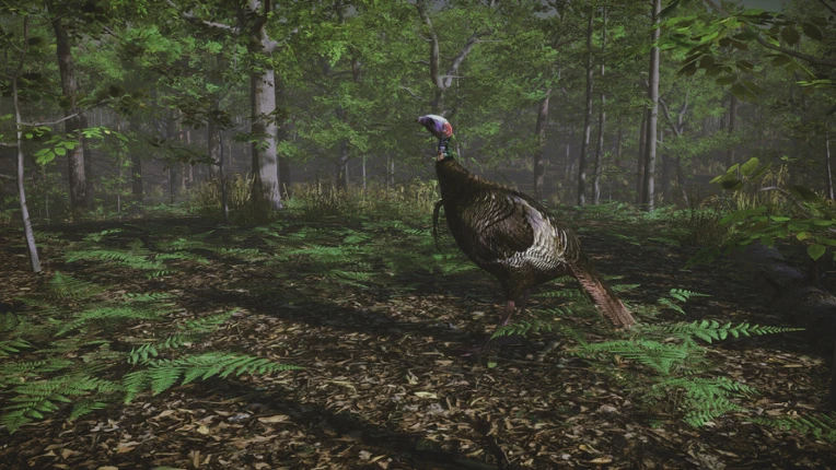 Pro Tukey Hunting screenshot