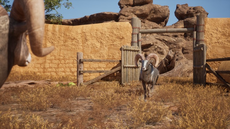 Ram Fights screenshot