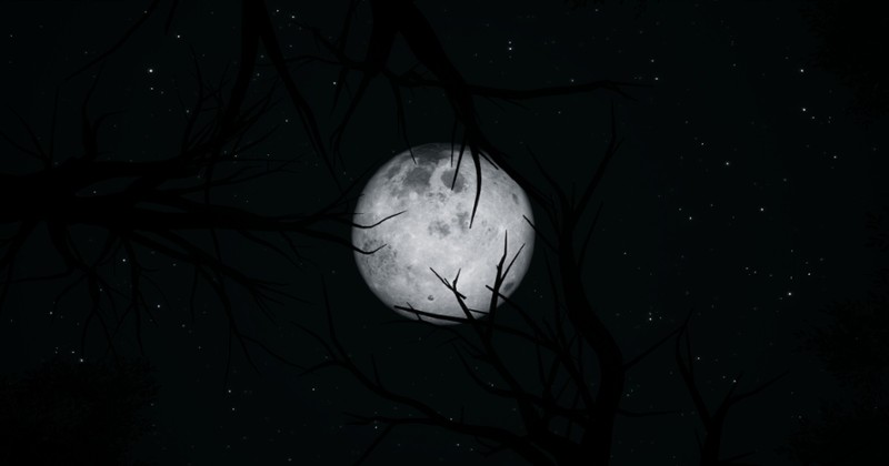 Sharks and Minnows screenshot