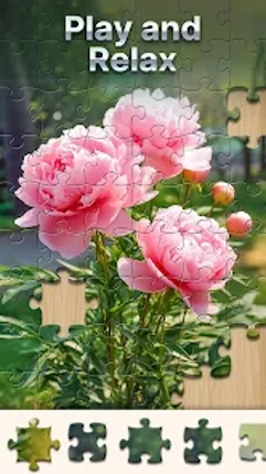 Anima Jigsaw for Seniors Image