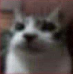 Games like The somewhat noteworthy game featuring Virtual guy and THE SINNER in all out combat for the sensation prototype game