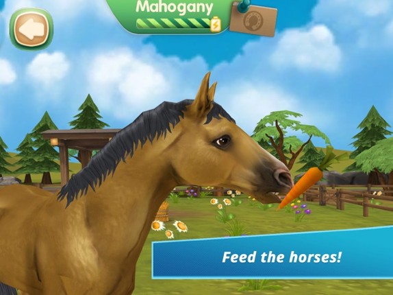 Horse Hotel - care for horses screenshot
