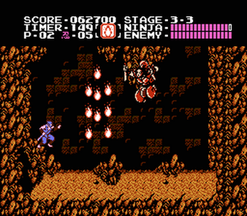 Ninja Gaiden Image