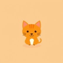 Orange Cat Behaviour Image