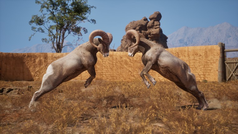 Ram Fights screenshot
