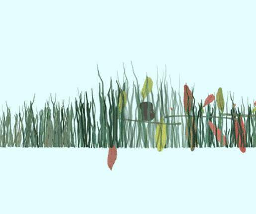 Seasons Image