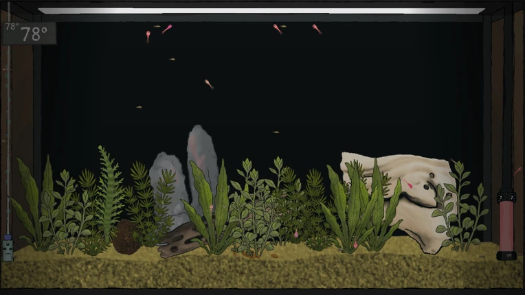 Temporarium Image