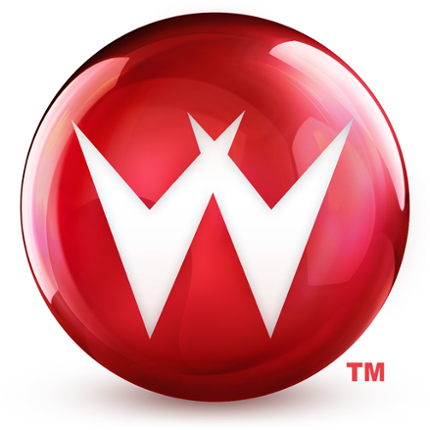 Williams™ Pinball Image