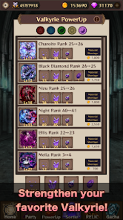 RPG Valkyrie & Dungeon Image
