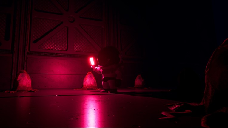 Invisible screenshot