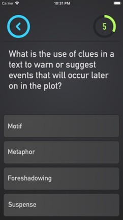 Literary Analysis Quiz screenshot