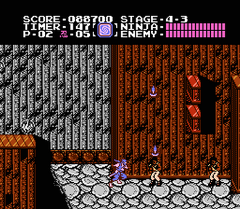 Ninja Gaiden Image