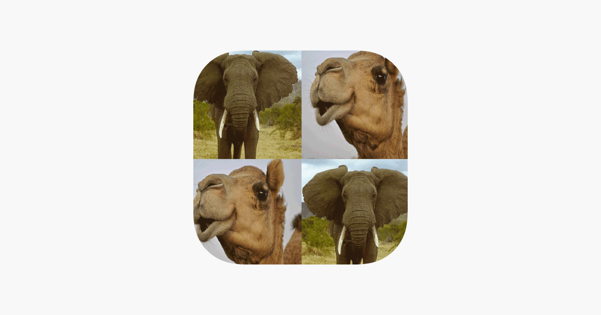 Games like Ninu's Animal Match Card Game
