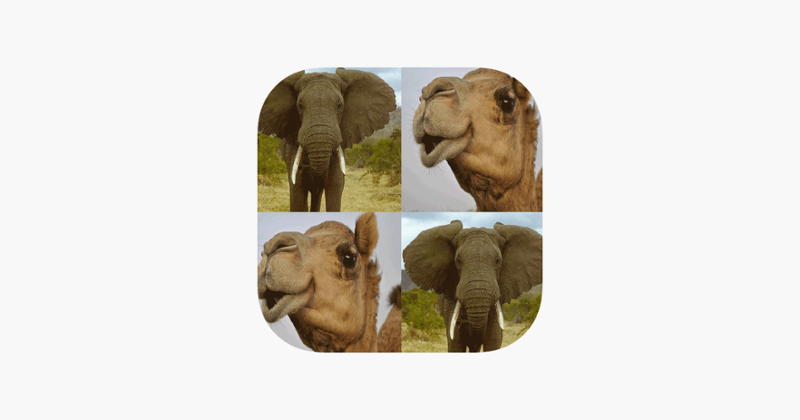 Ninu's Animal Match Card Game Image