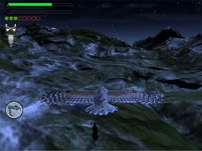 Owl Hunting Journey Image