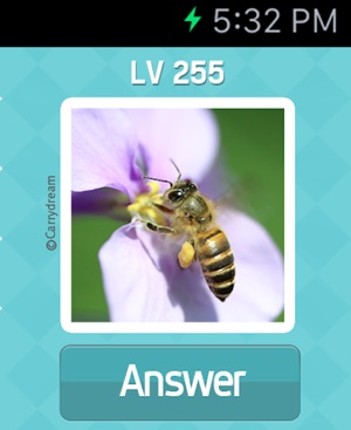Pictoword: Fun Word Quiz Games screenshot