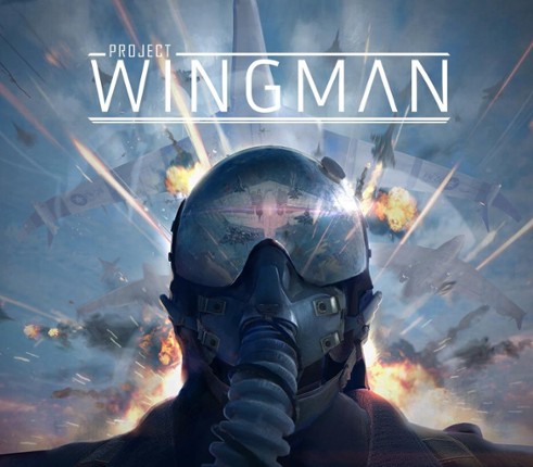 Project Wingman Image