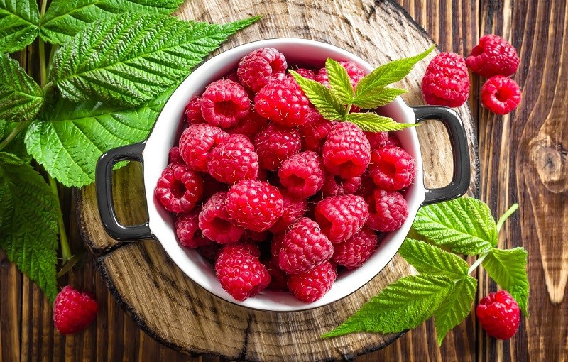 Games like Raspberry Jam