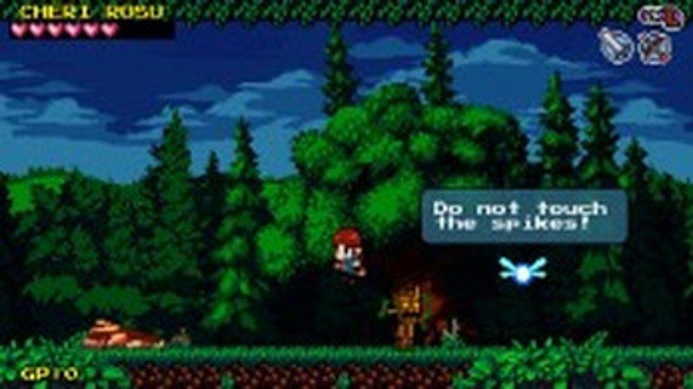 REKNUM DX screenshot