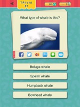 Trivia Quest™ Animals - trivia questions Image