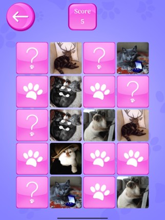 Cute Cats Memory Match Game screenshot