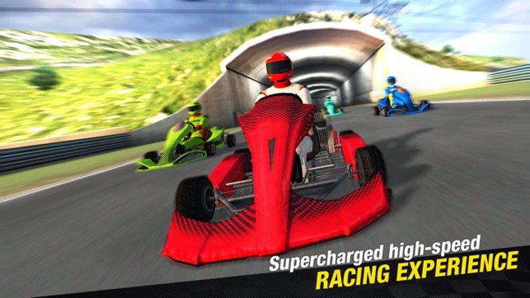 Go Karts - Ultimate Karting Game for Real Speed Racing Lovers! screenshot