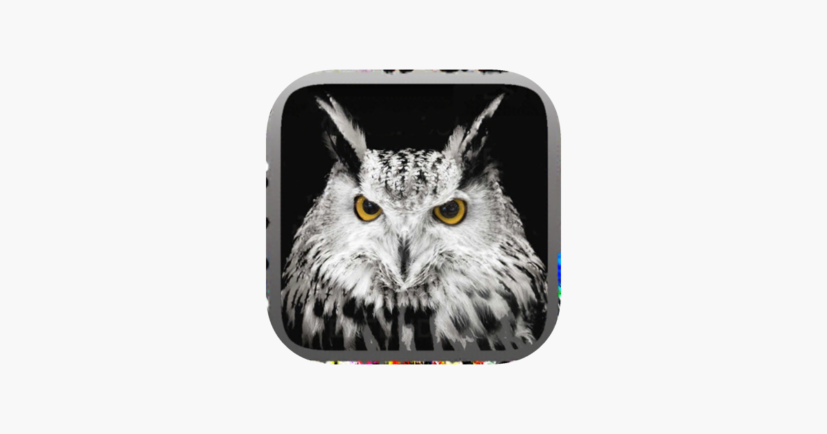 Games like Owl Hunting Journey