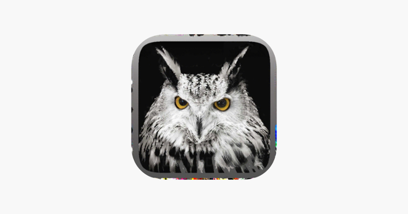 Owl Hunting Journey Game Cover