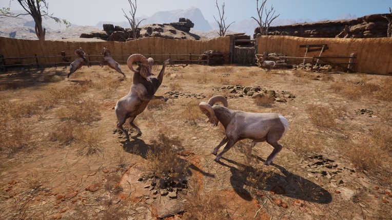 Ram Fights screenshot