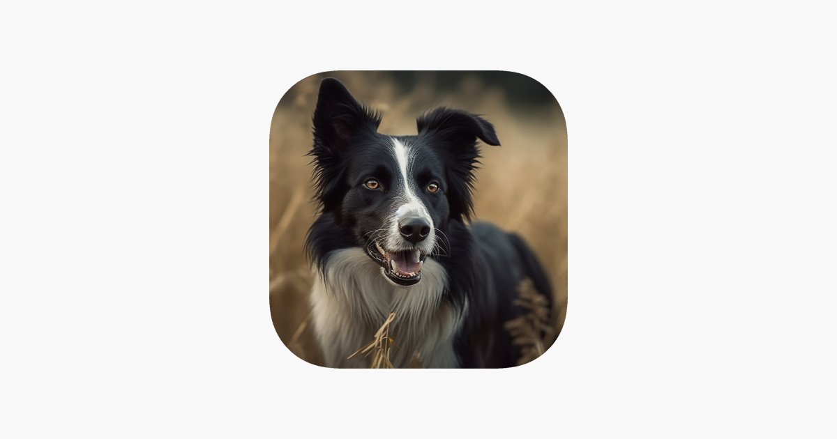 Games like Sheep Herding Dog Simulator