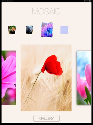 Art Puzzle Game For Creativity screenshot