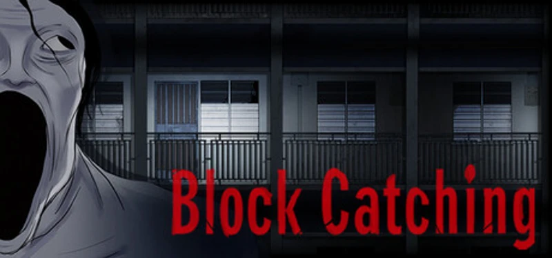 Block Catching Image