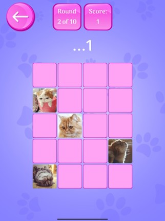 Cute Cats Memory Match Game screenshot