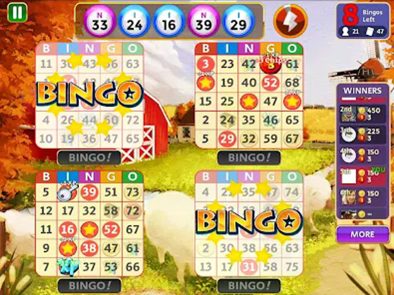 Bingo Star Image