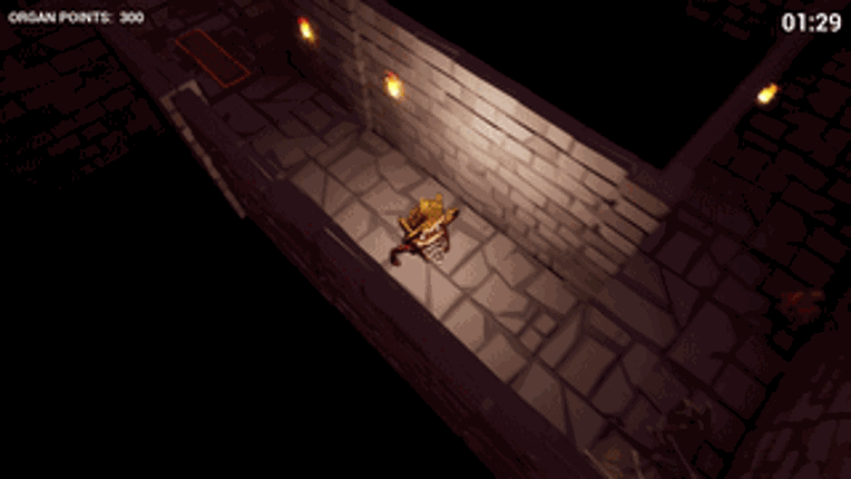 OrganFeast screenshot