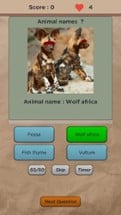 Guess Animal Name - Animal Game Quiz Image