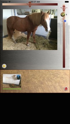 Happy Pony for iPhone by Horse Reader screenshot