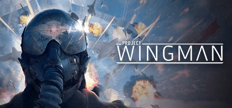 Games like Project Wingman