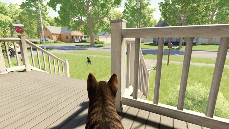 Reign of Cats screenshot