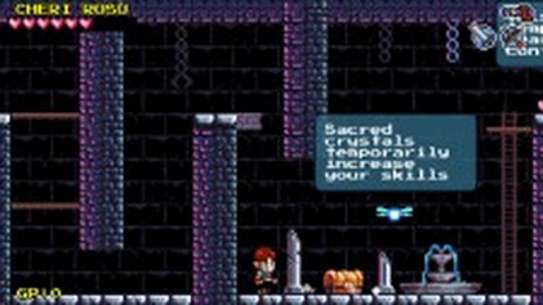 REKNUM DX screenshot