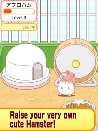 AfroHamster screenshot