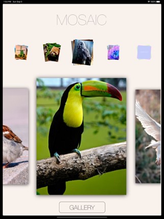 Art Puzzle Game For Creativity screenshot