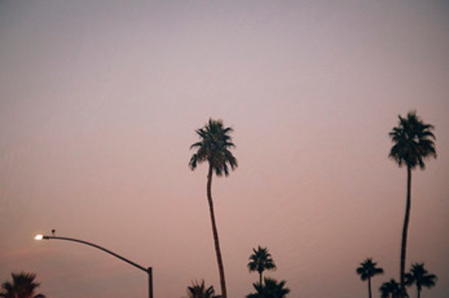 #ArtReference - Pack 04 - Palm Trees Every Day Image