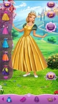 Dress Up Princess Cinderella Image