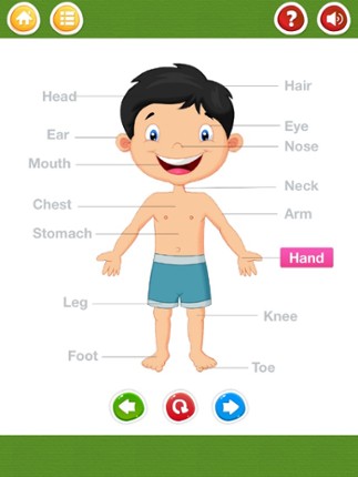 English for Kids - Kids Start Learning English screenshot